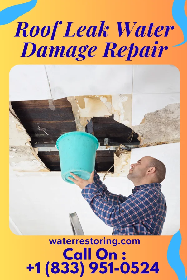 Roof Leak Water Damage Repair in Murraysville, NC